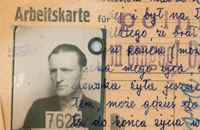Banner - Wystawa on-line