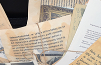 Banner - Wystawa on-line